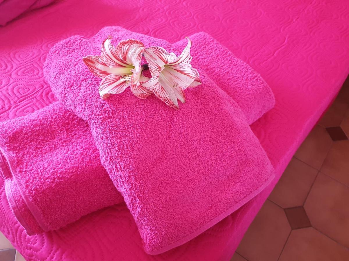 Sperry'S House Porto Torres Apartment Екстериор снимка