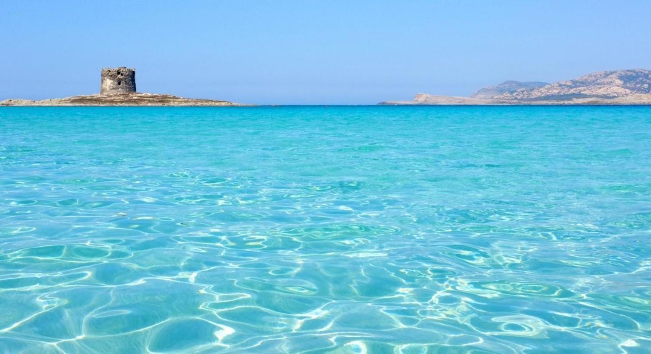 Sperry'S House Porto Torres Apartment Екстериор снимка